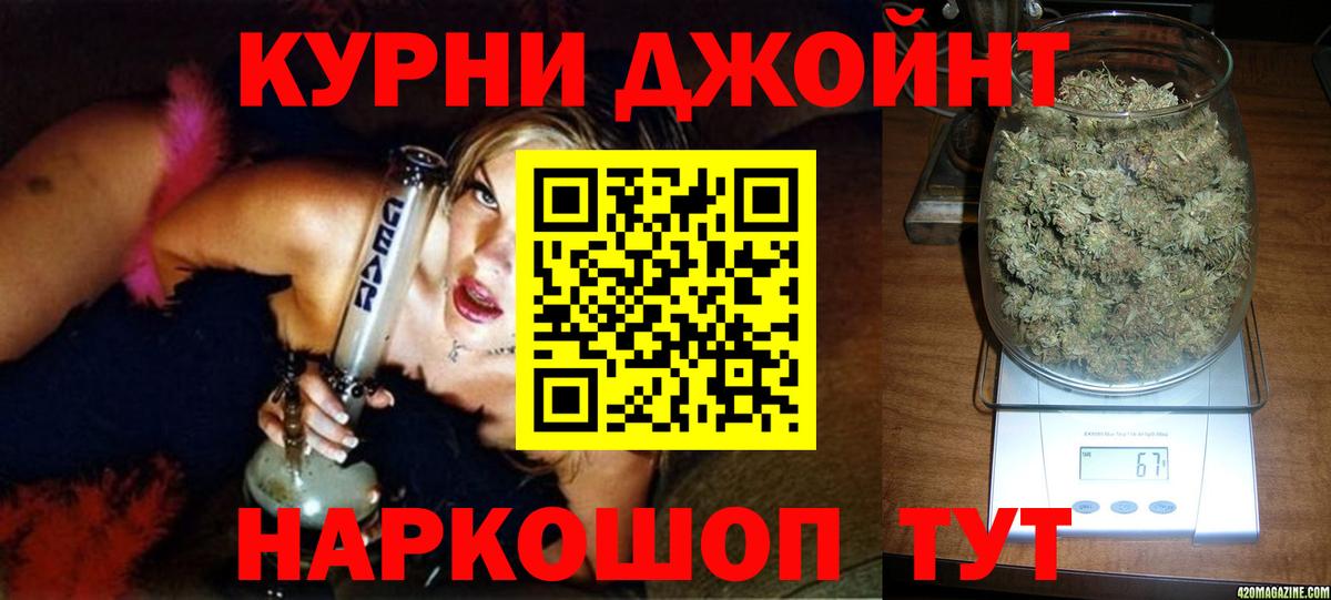 Канабис планчик Саров